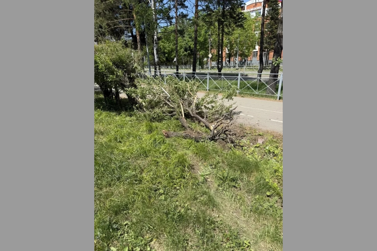 тематическое фото мэрия города