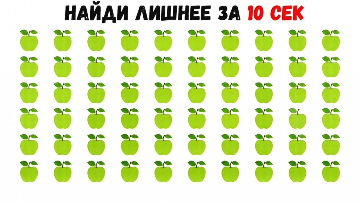 ИА EAOMedia