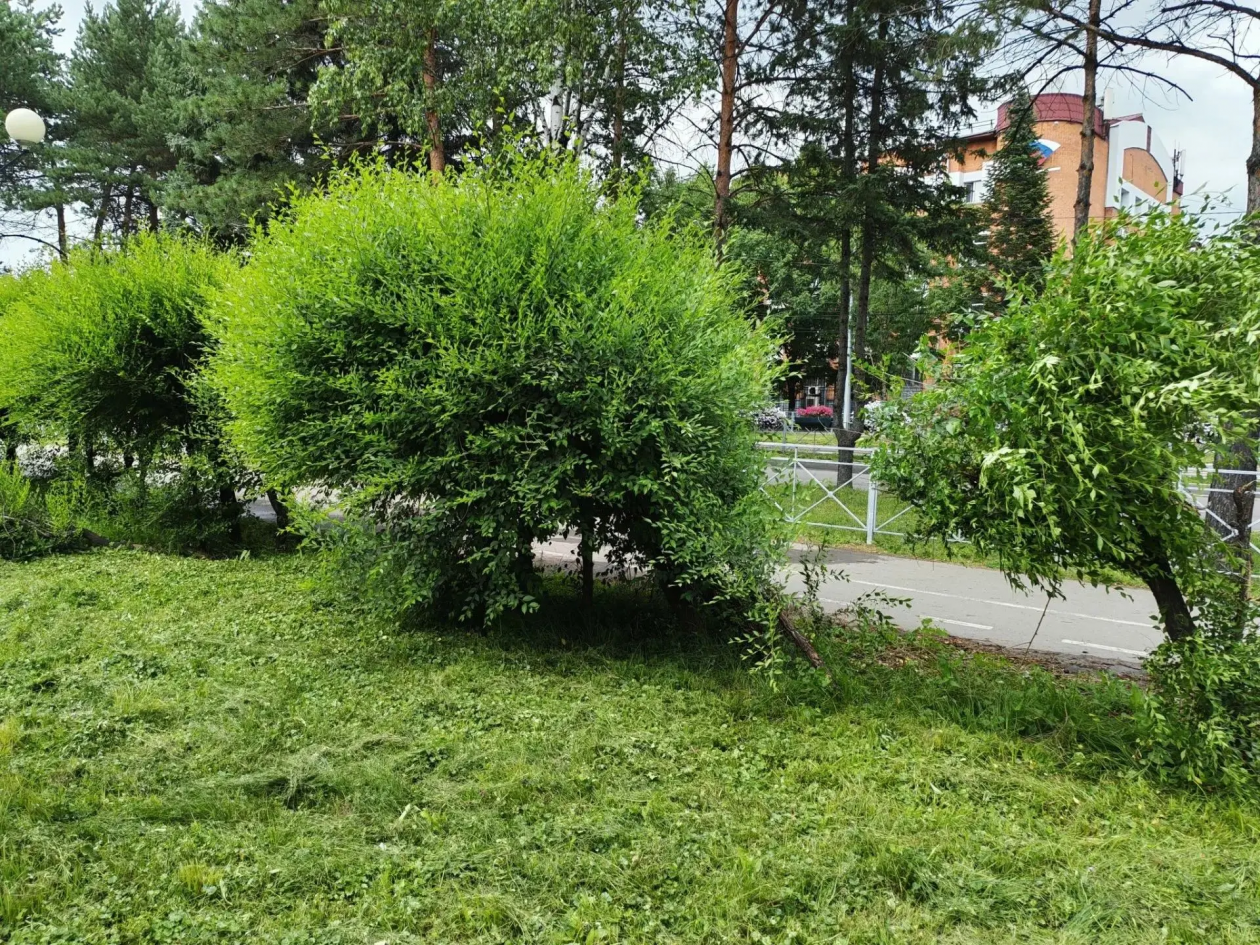 мэрия Биробиджана