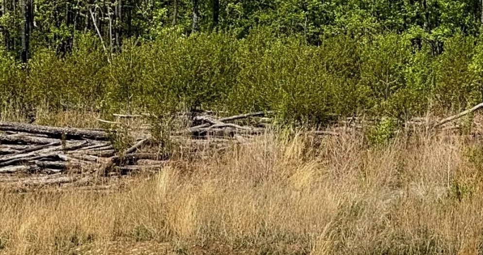 Амурская бассейновая природоохранная прокуратура