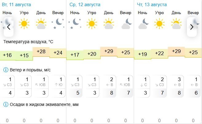 Погода в Биробиджане