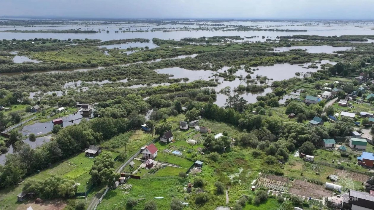 Тематическое фото