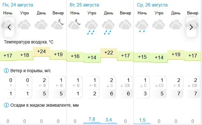 Погода в Биробиджане