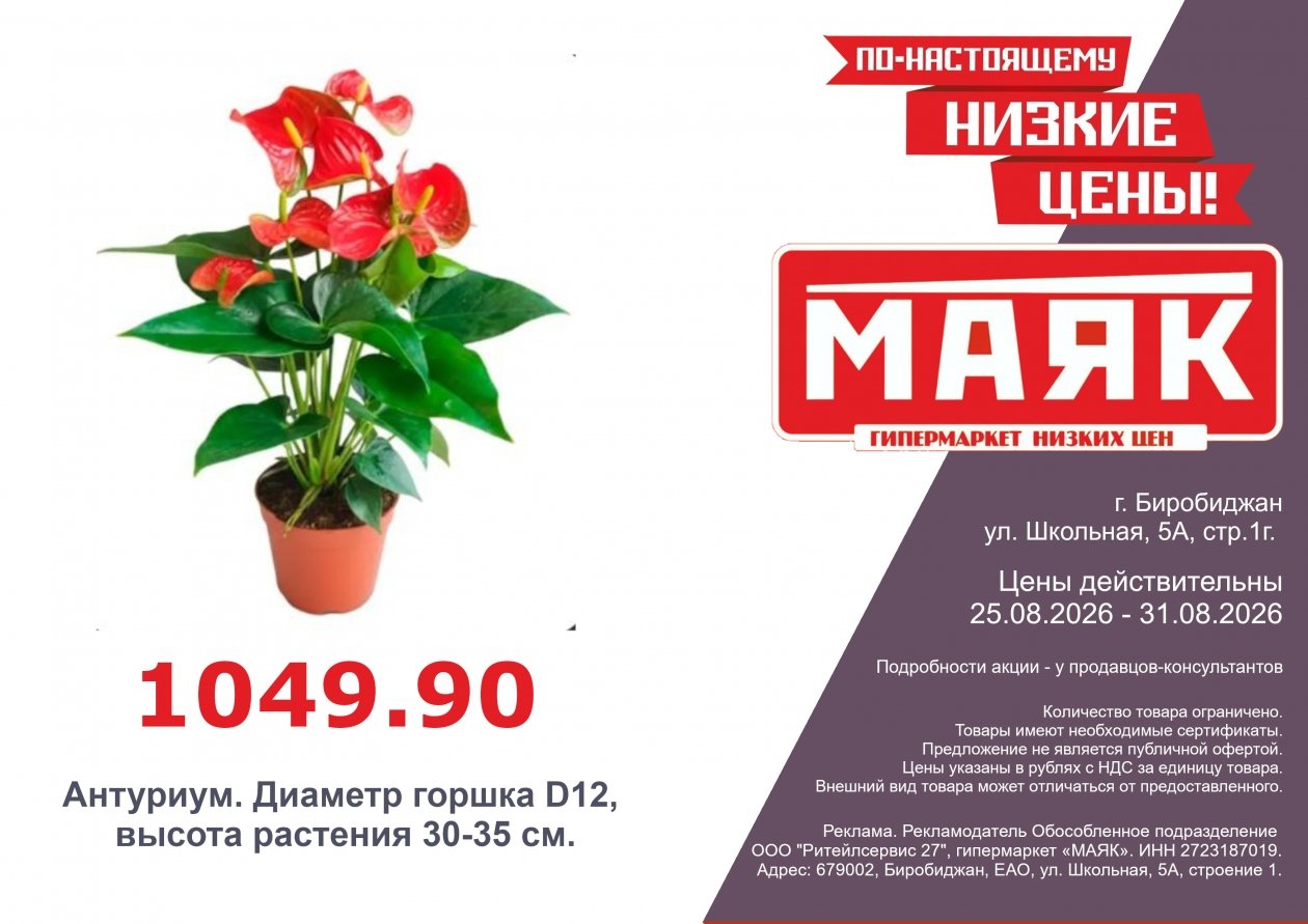 тематическое фото