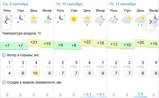 Погода в Биробиджане