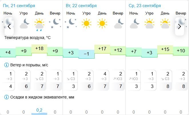 Погода в Биробиджане