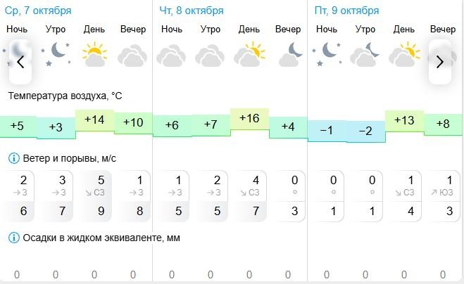 Погода в Биробиджане