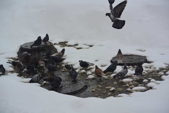Теплое местечко, Фото с места события собственное