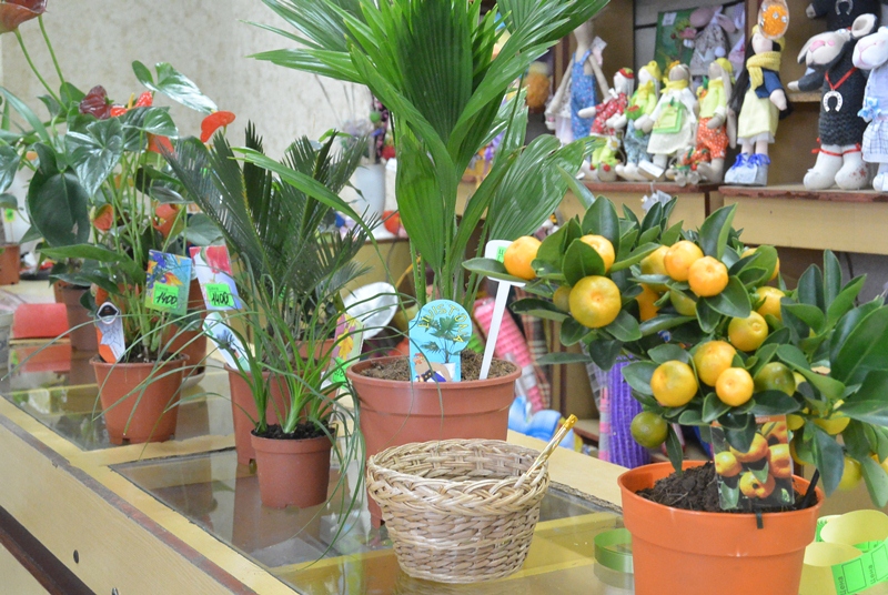 Еще один вид популярного подарка к 8 Марта, Фото с места события собственное