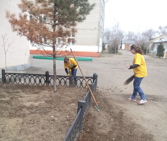 Волонтеры подмели дорожки, сгребли прошлогоднюю листву, Фото с места события из других источников