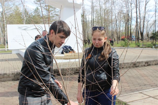 В сквере имени Героя Советского Союза вырос Лес Победы, Фото с места события собственное