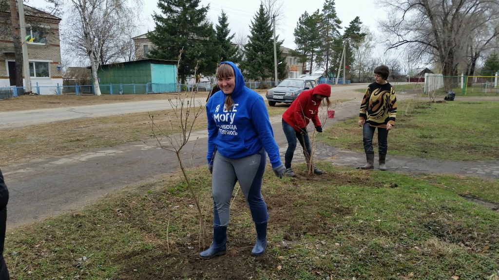Высадка сирени в с. Найфельд, Фото с места события из других источников