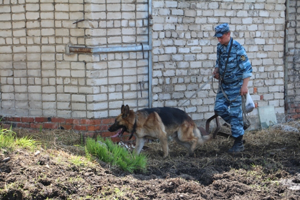 Сбежавшего из колонии-поселения Биробиджана осужденного задержали