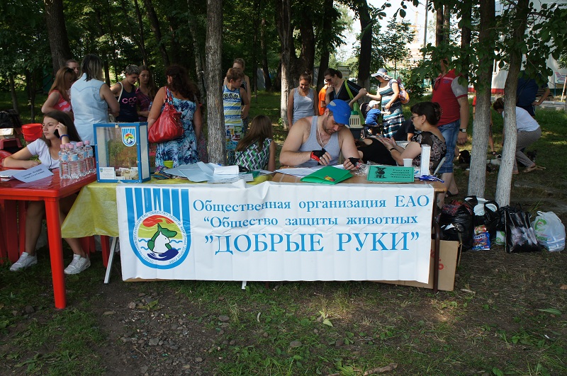 "Добрые руки" помогли еще четырем котятам и трем щенкам найти семью