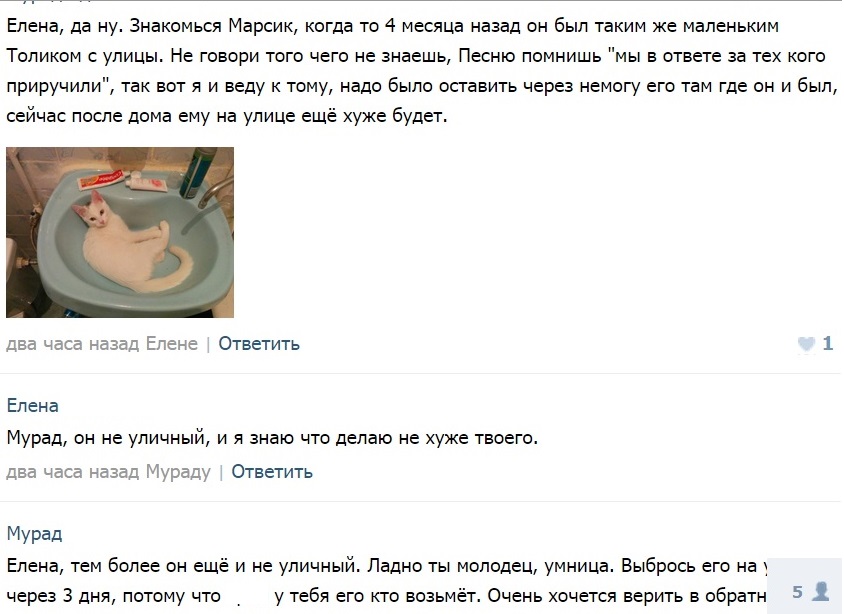 Биробиджанка пообещала в соцсети выкинуть взятого с улицы котенка