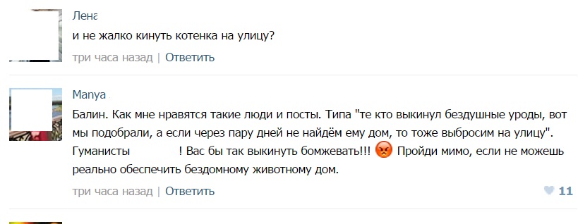 Биробиджанка пообещала в соцсети выкинуть взятого с улицы котенка