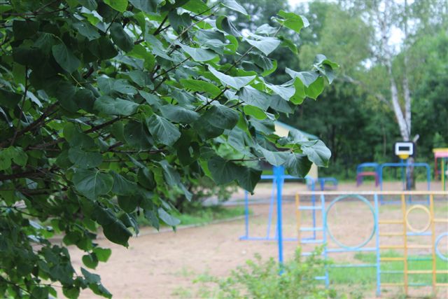 Детский сад №5 готовится к приему детей