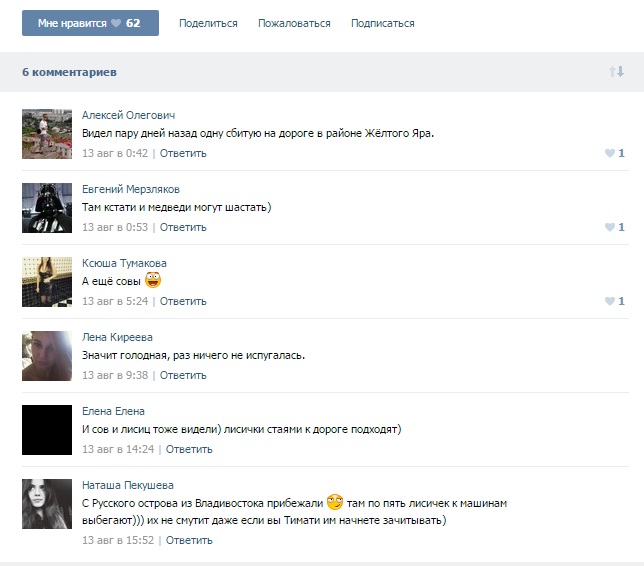 Биробиджанец удивил интернет-пользователей снимками бесстрашной лисы