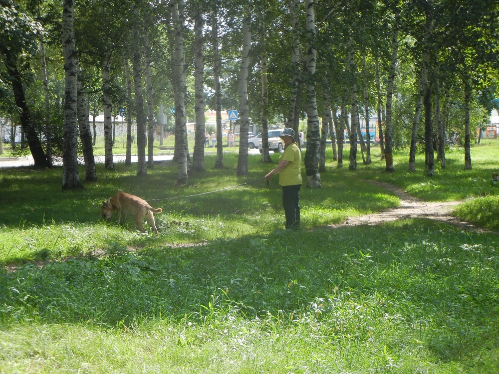 Сделал "дело", гуляй смело...