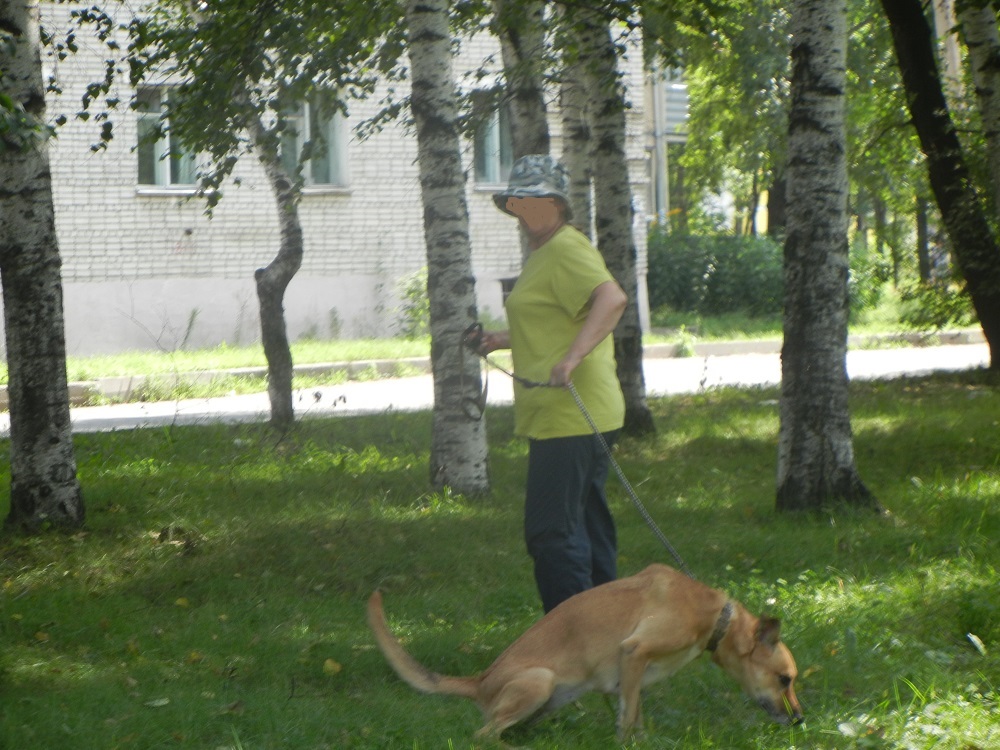 Процесс "минирования"...