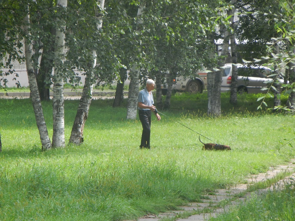 Собачники ведут спор за территорию рощи