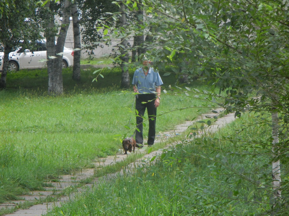 Не все собачники выгуливают питомцев по правилам