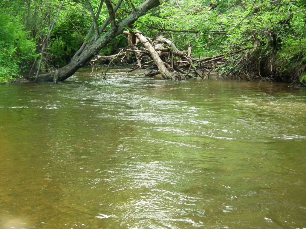 Заповедные места