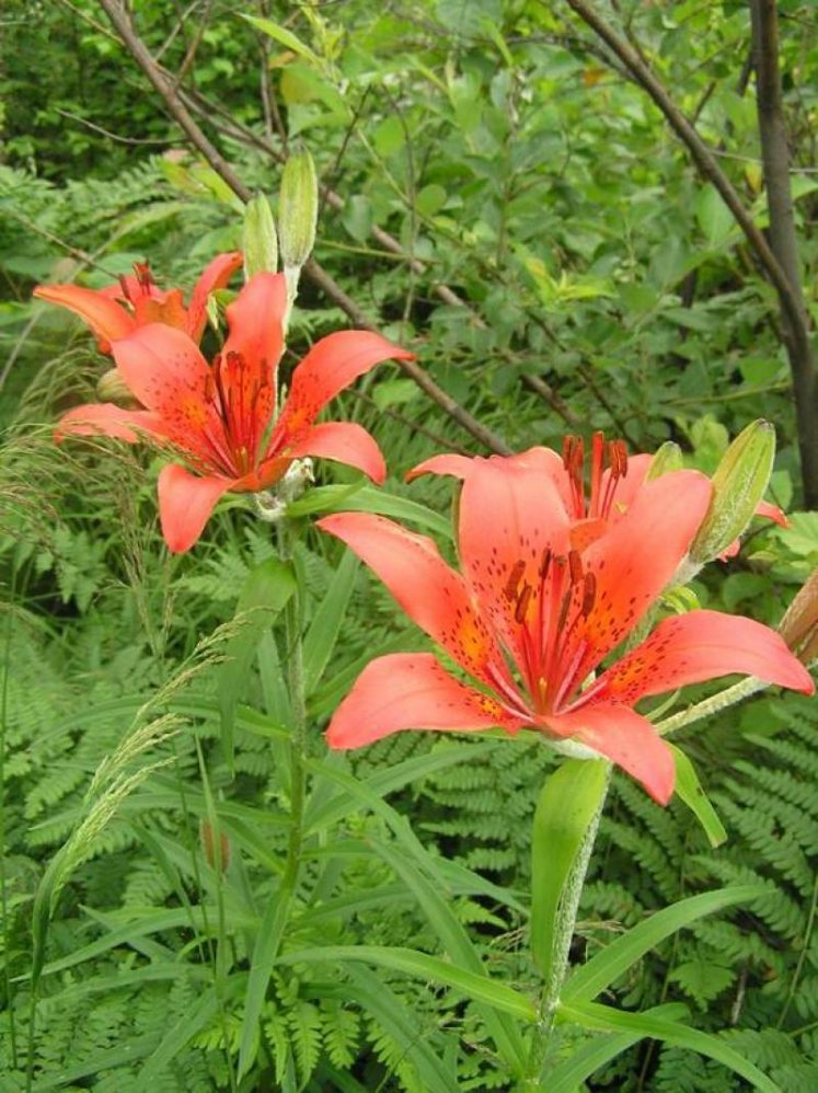 Заповедные места