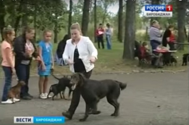 Самые лучшие уши, лапы и хвост выбирали в Биробиджане