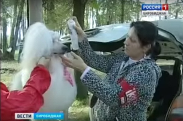 Финальная подготовка перед смотром