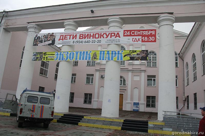 Обезьяна сбежала из зверинца и устроила погром в ДК 
