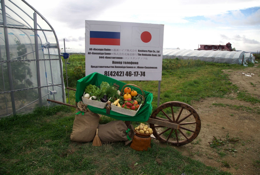 Российско-японское партнерство