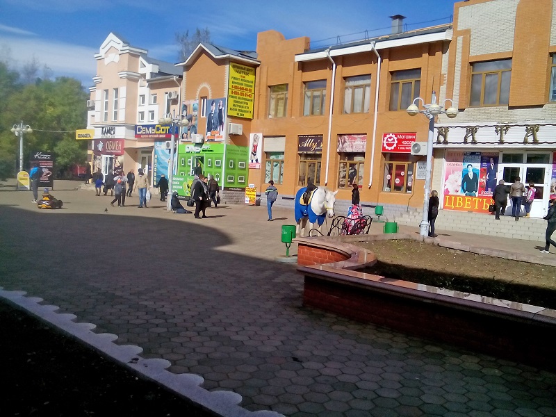 Лошади в центре Биробиджана