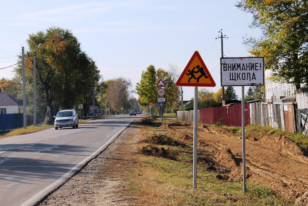 Нарушения в обустройстве пешеходных переходов возле школ ЕАО выявили активисты ОНФ