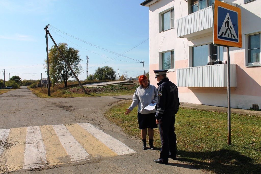 Нарушения в обустройстве пешеходных переходов возле школ ЕАО выявили активисты ОНФ