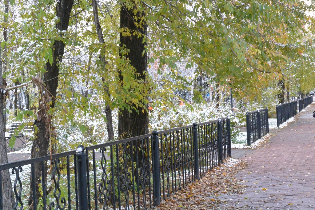 Улицы города покрыл снег 