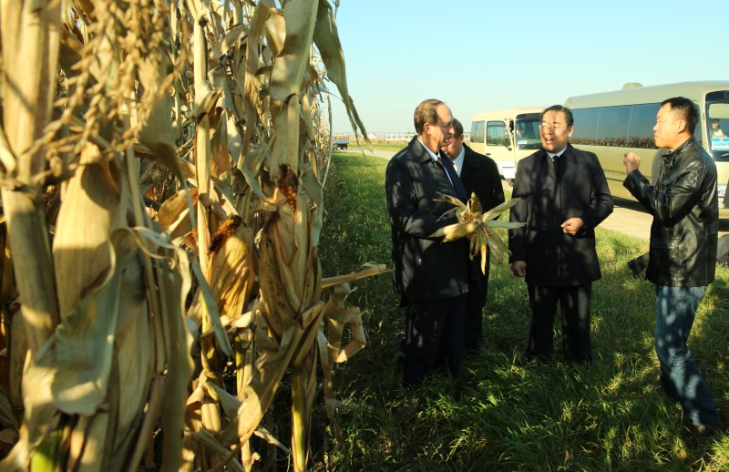 На полях академии