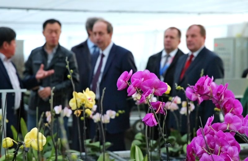 Делегация ЕАО в Хэйлунцзянской академии сельскохозяйственных наук