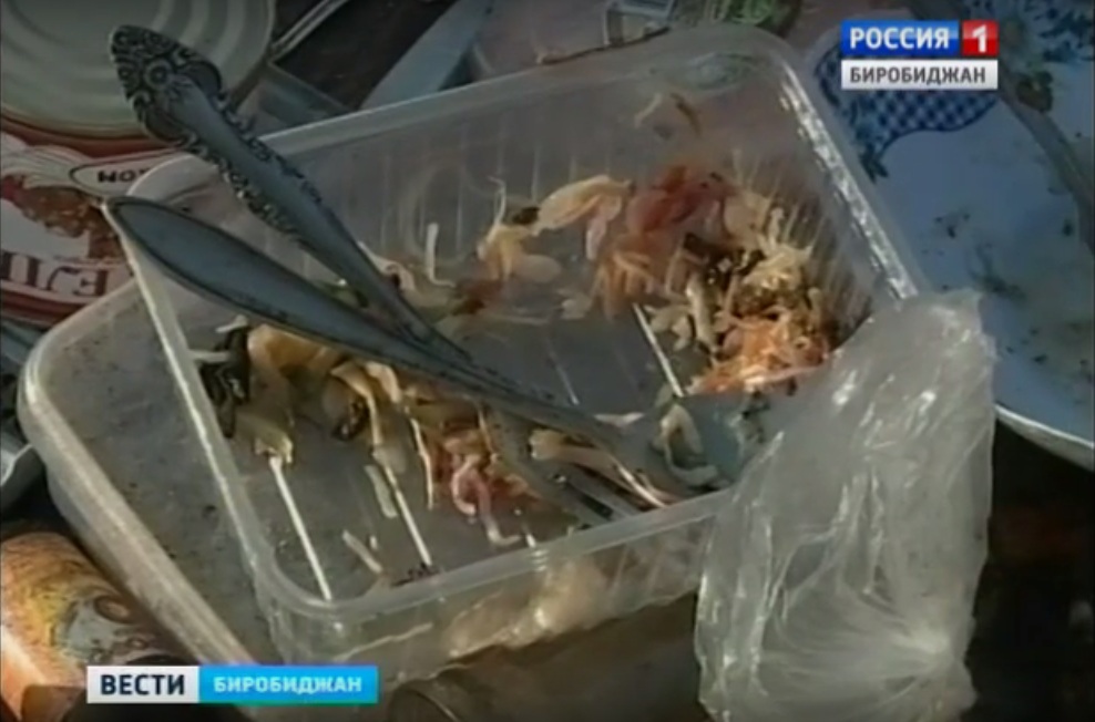 К еде бродяга неприхотлив, но и есть что попало не собирается