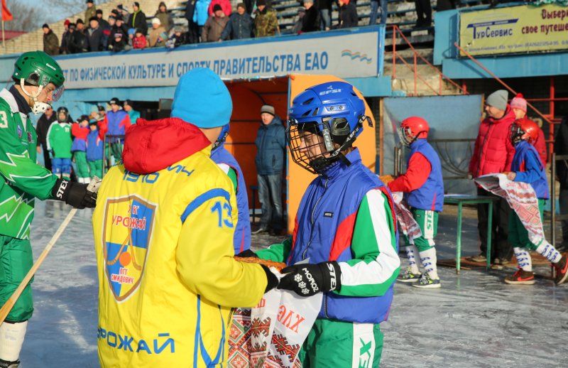 Кубок губернатора ЕАО по хоккею с мячом (2015 г.)