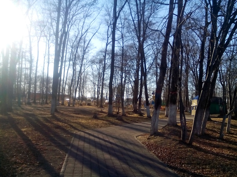 Новогодняя елка "обосновалась" в биробиджанском парке культуры и отдыха