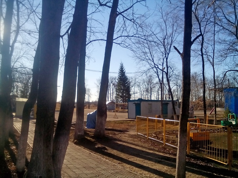 В ПКО елочку уже установили