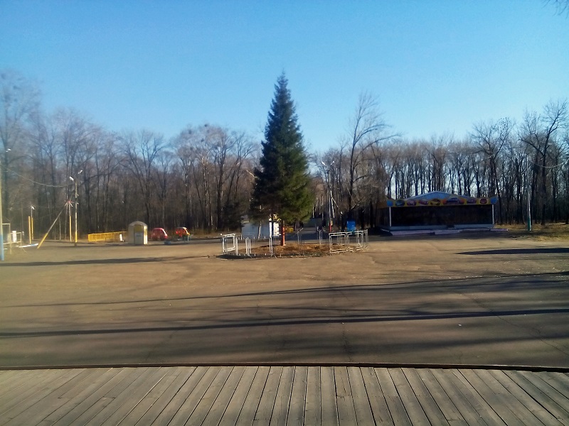 Новогодняя елка "обосновалась" в биробиджанском парке культуры и отдыха