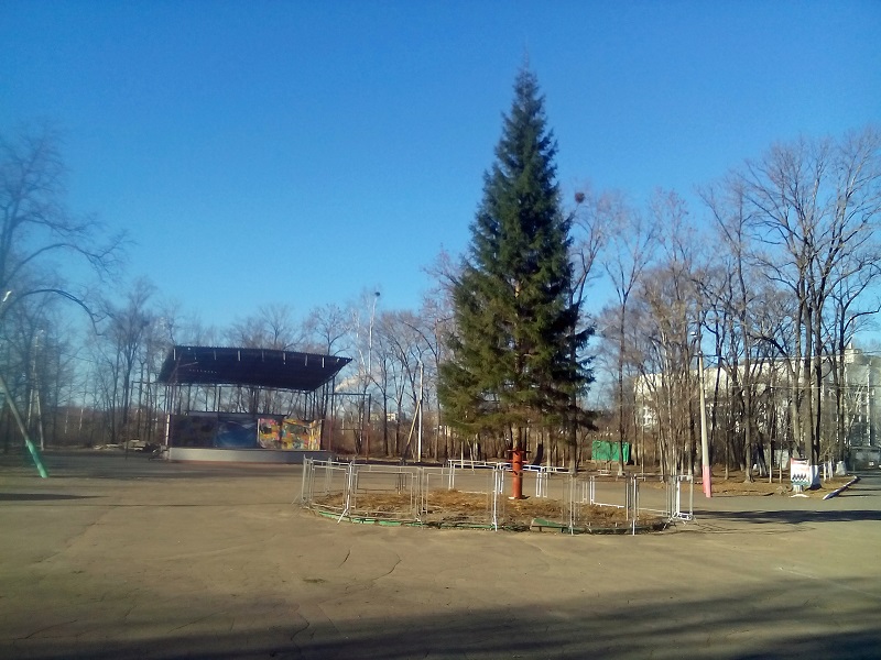 Новогодняя елка "обосновалась" в биробиджанском парке культуры и отдыха