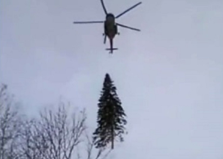 Однажды елка даже упала с вертолета...