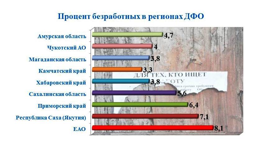 Уровень безработицы в ЕАО самый высокий на Дальнем Востоке