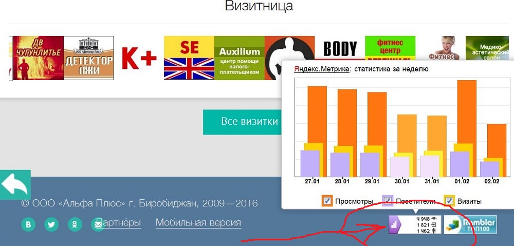 Скриншот посешаемости — Город на Бире 2 февраля 2016