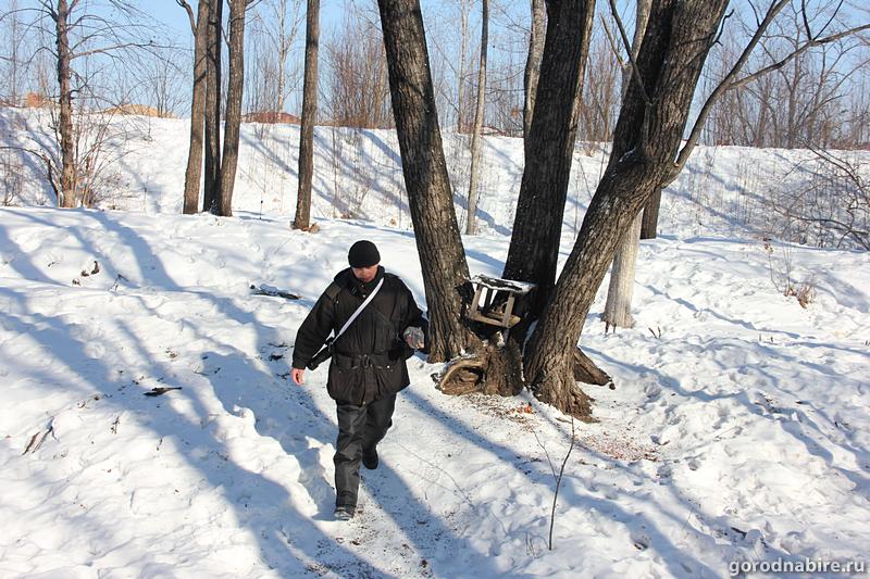 Ручных белок, обитающих у реки Бира в Биробиджане, начали безжалостно отстреливать