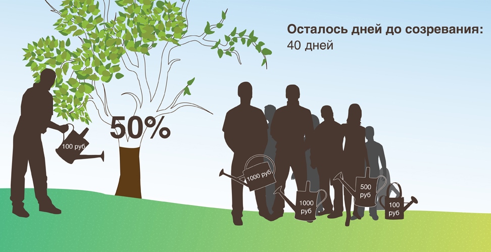 Проект "Дальневосточная социальная инициатива"