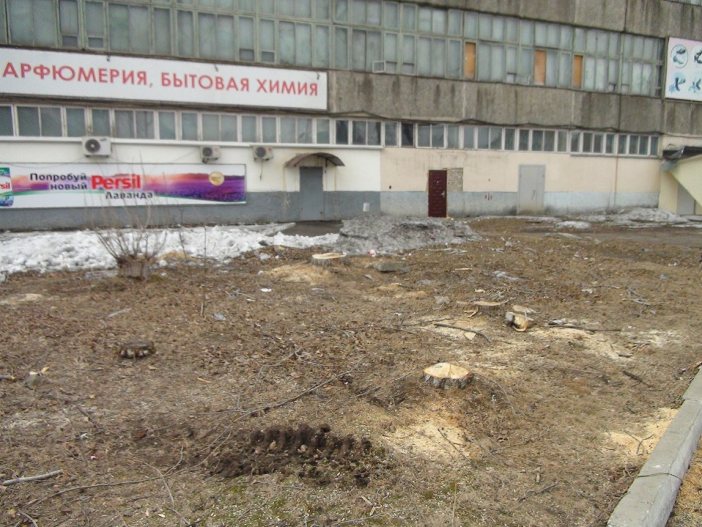 Деревья в районе обувной фабрики мешали подъезду спецтехники